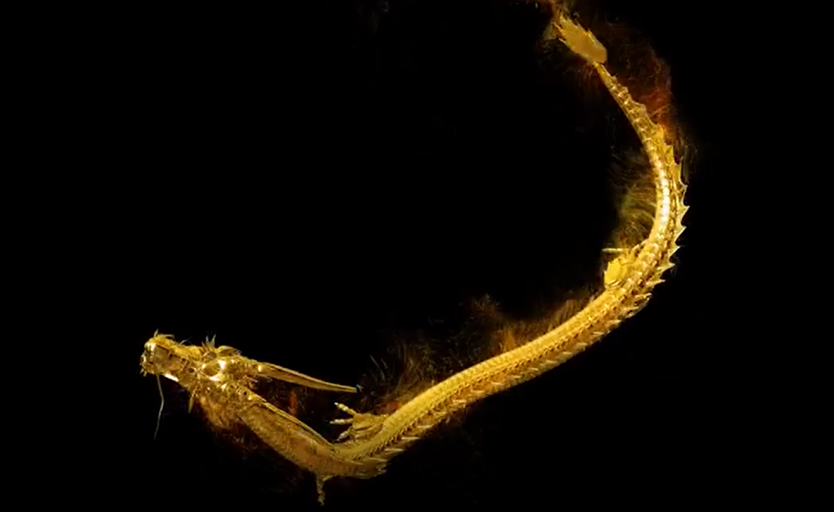 水霧屏/霧幕機視頻原創(chuàng)效果展示效果圖